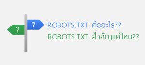 robots-text